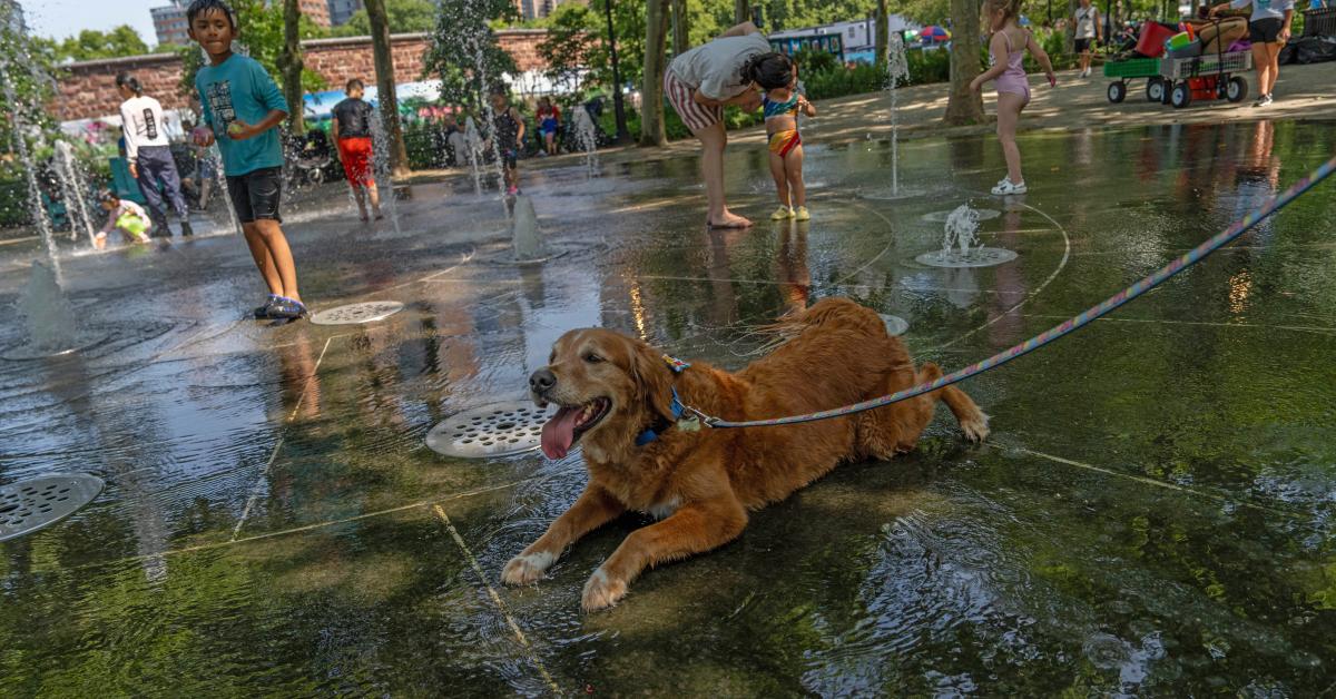 WaPo climate story inflates impact of urban heat island effect by 3,600